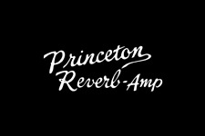 Used, Princeton Reverb-Amp Logo Decal for sale  Platteville