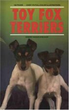 Toy fox terriers for sale  UK