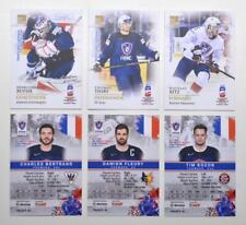 BY cards 2019 IIHF Campeonato Mundial Equipo Francia elige una tarjeta de jugador segunda mano  Embacar hacia Argentina