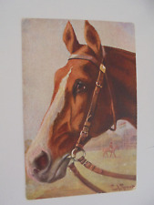 Künstler rassepferde pferde gebraucht kaufen  Sulzbach-Rosenberg