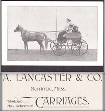 Lancaster pony carriage for sale  Loveland