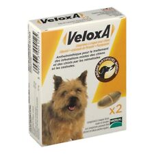 Vermifuge chien veloxa d'occasion  Bourges