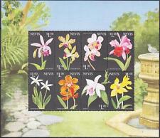 Nevis 1999 orchidee usato  Italia
