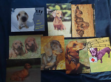Dackel postkartenset dachshund gebraucht kaufen  Parkstein
