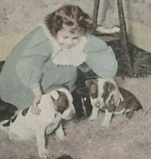 Little girl puppies for sale  Bradner