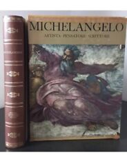Michelangelo. artista .pensato usato  Pontassieve