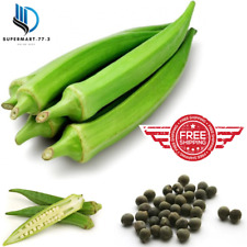 Ceylon Fresh OKRA Vegetable NEW SEEDS 40+ NON-GMO Organic From Home Gardening. for sale  Shipping to South Africa