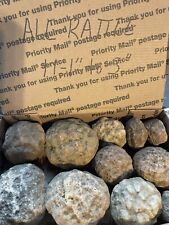 Box kentucky geodes for sale  Burkesville