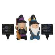 Weather forecasting witch for sale  PLYMOUTH