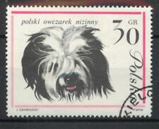 Polish Lowland Sheepdog dog Poland 1963  stamp A185, used for sale  LONDON