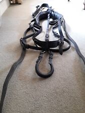 Leather driving harness for sale  MATLOCK