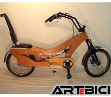 Bici Recumbent / Reclinata Custom in legno, Shimano Nexus 8v, Disco Avid BB7 usato  Bagnolo San Vito