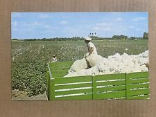 Postcard cotton field for sale  Clarendon Hills