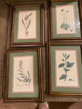 Vintage framed botanical for sale  West Chester