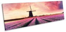 Windmill pink sunset for sale  UK
