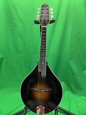 Loar lm400 mandolin for sale  Columbia