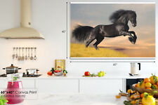 A527 black stallion for sale  STRABANE