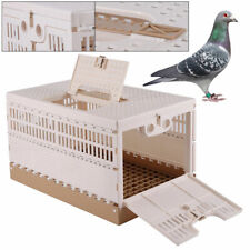 Bird cage pigeon for sale  Chino