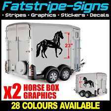 Horse box horse for sale  Shipping to Ireland