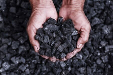 Biochar charcoal soil for sale  Ireland