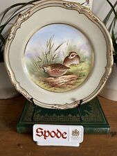 Hand painted spode for sale  MACCLESFIELD