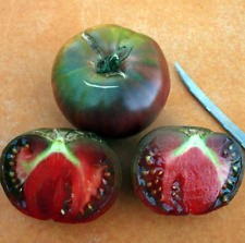 Black tula tomato for sale  Salem
