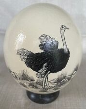 Ostrich egg shell for sale  Fort Lauderdale