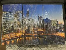 Chicago skyline canvas for sale  Bethpage