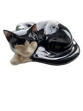 Cats black white for sale  DEESIDE