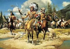 Sioux nakota dakota gebraucht kaufen  Grabenstätt