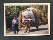 Rentree foins pyrenees d'occasion  Beaumont-de-Lomagne