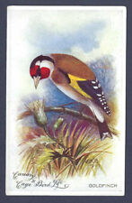 Goldfinch trade postcard for sale  SUNBURY-ON-THAMES