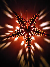 Magic starlight beleuchteter gebraucht kaufen  Pittenhart