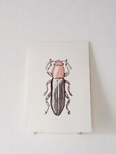 Insect original watercolor d'occasion  Expédié en Belgium