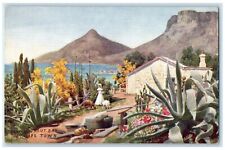 Farm Near Hout Bay Cape Town Reward Card Tuck's Oilette Vintage Postcard for sale  Shipping to South Africa