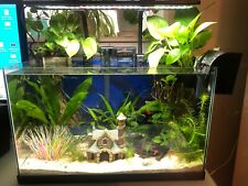 Complete fish tank for sale  Runnemede