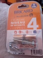 Cylndre clés bricard d'occasion  Loos