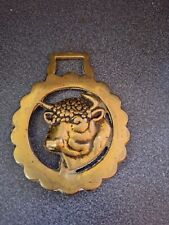Brass fireplace ornaments for sale  DURSLEY