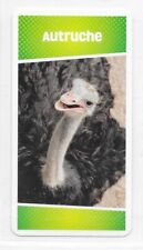Cartato cards ostriches d'occasion  Expédié en Belgium