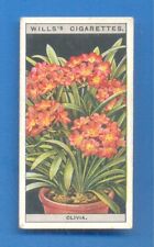 FLOWER CULTURE IN POTS.No.18.CLIVIA.WILLS CIGARETTE CARD 1925, used for sale  Shipping to South Africa