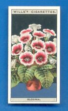 FLOWER CULTURE IN POTS.No.25.GLOXINIA.WILLS CIGARETTE CARD 1925, used for sale  Shipping to South Africa