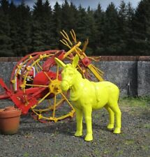 High visibility donkey for sale  COLERAINE