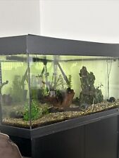 Aquarium fish tank for sale  SUDBURY