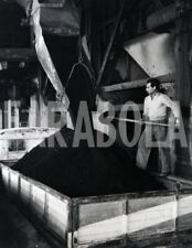 carbone polvere usato  Roma