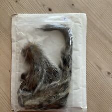 Grey squirrel tails for sale  IPSWICH