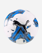 Pallone calcio puma usato  Lucca
