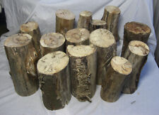 14x Spalted Beech* Wood Logs Blanks Crafts Woodwork Untreated H18-27cm D5-12cm for sale  Shipping to South Africa