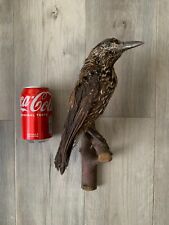 Vintage taxidermy spotted for sale  DONCASTER