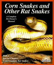 Corn snakes rat for sale  UK