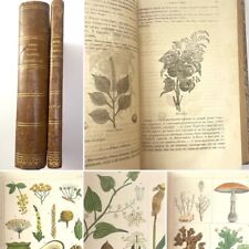 1862 traité plantes d'occasion  Expédié en Belgium